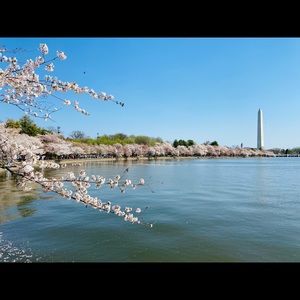 Meet your Posher, Ann